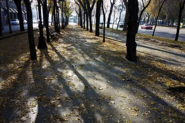Погода 8 листопада