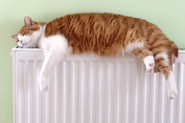 Коли у Франківську відключать опалення