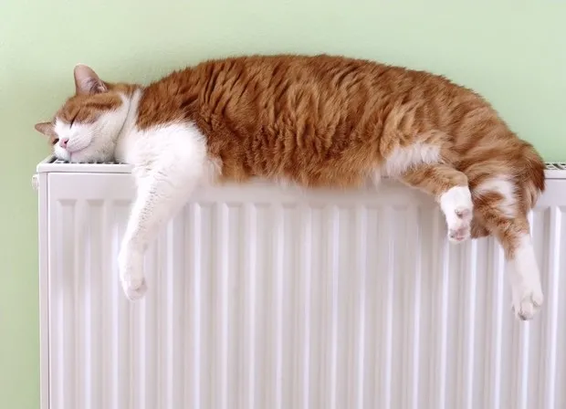 Коли у Франківську відключать опалення