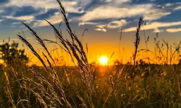 Літо