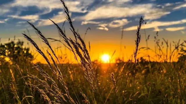 Літо