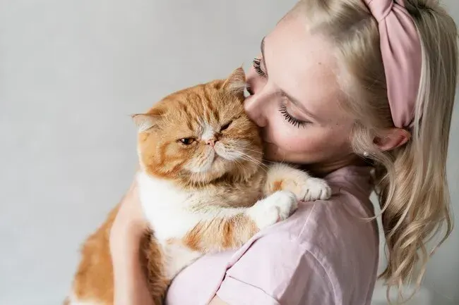 Яких людей коти люблять більше