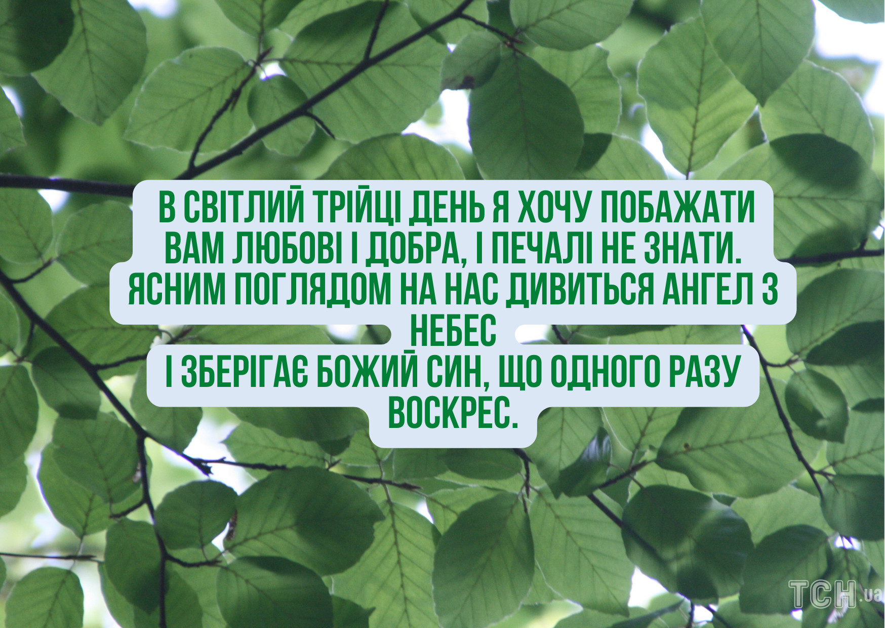 Привітання з Трійцею