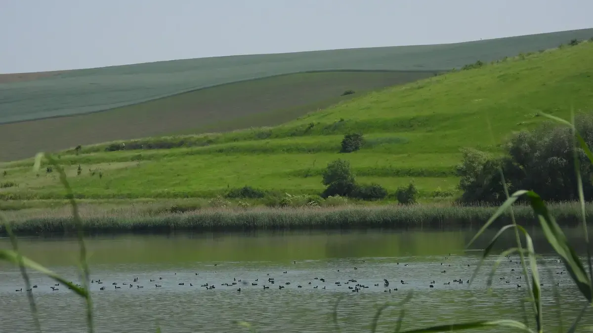 Галицький природний парк