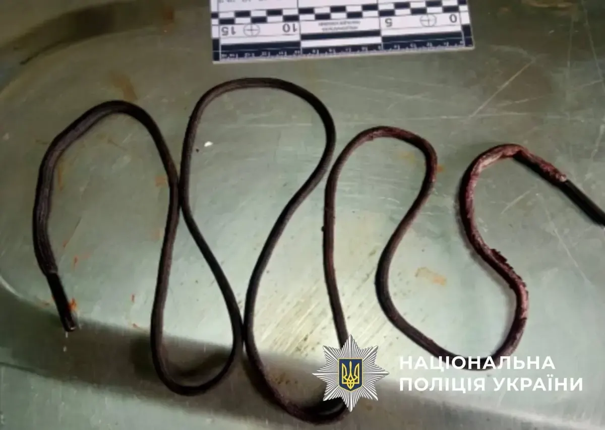 Речові докази