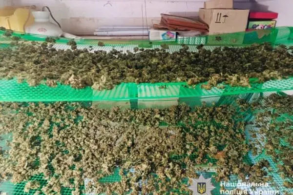Речові докази