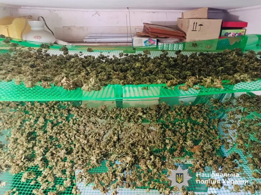 Речові докази