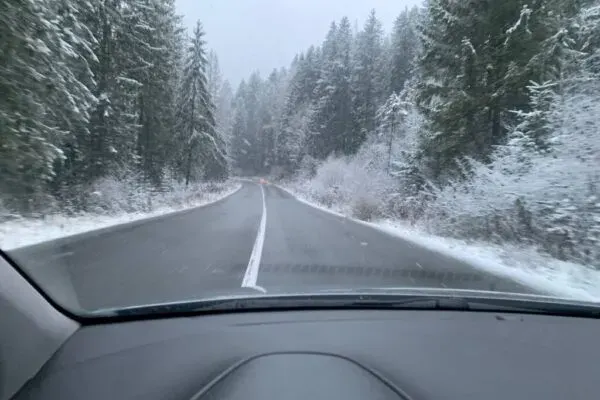 Перший сніг на Прикарпатті
