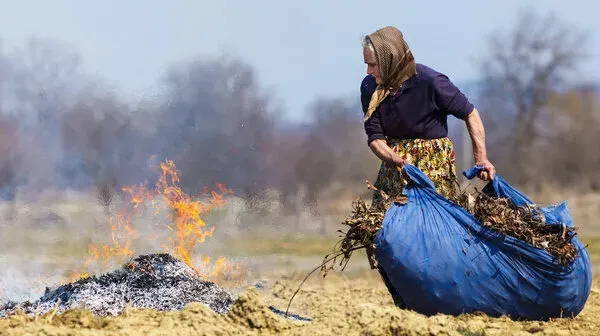 Підпал сухого листя