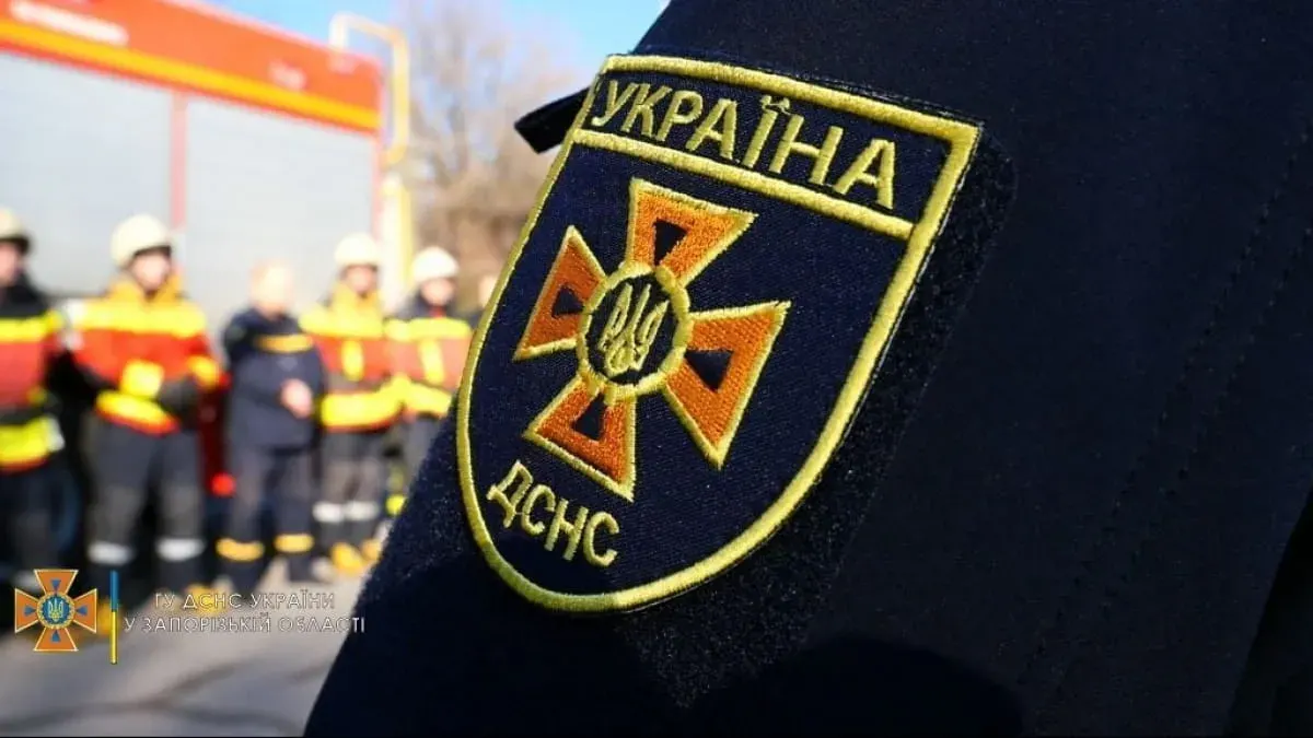 ДСНС