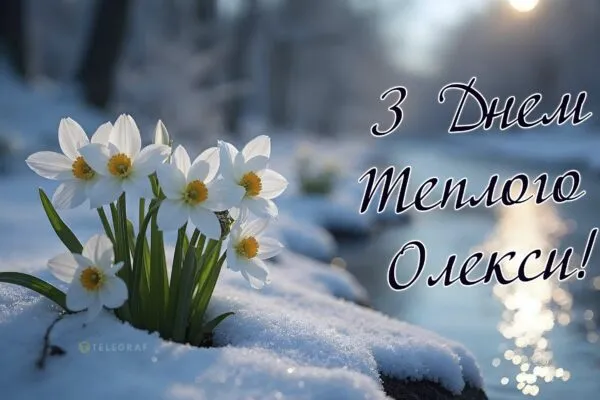 Теплий Олексій