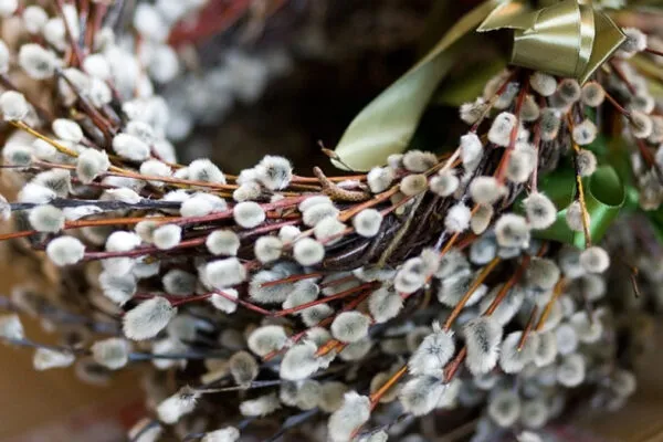 Вербна неділя / Фото з відкритих джерел