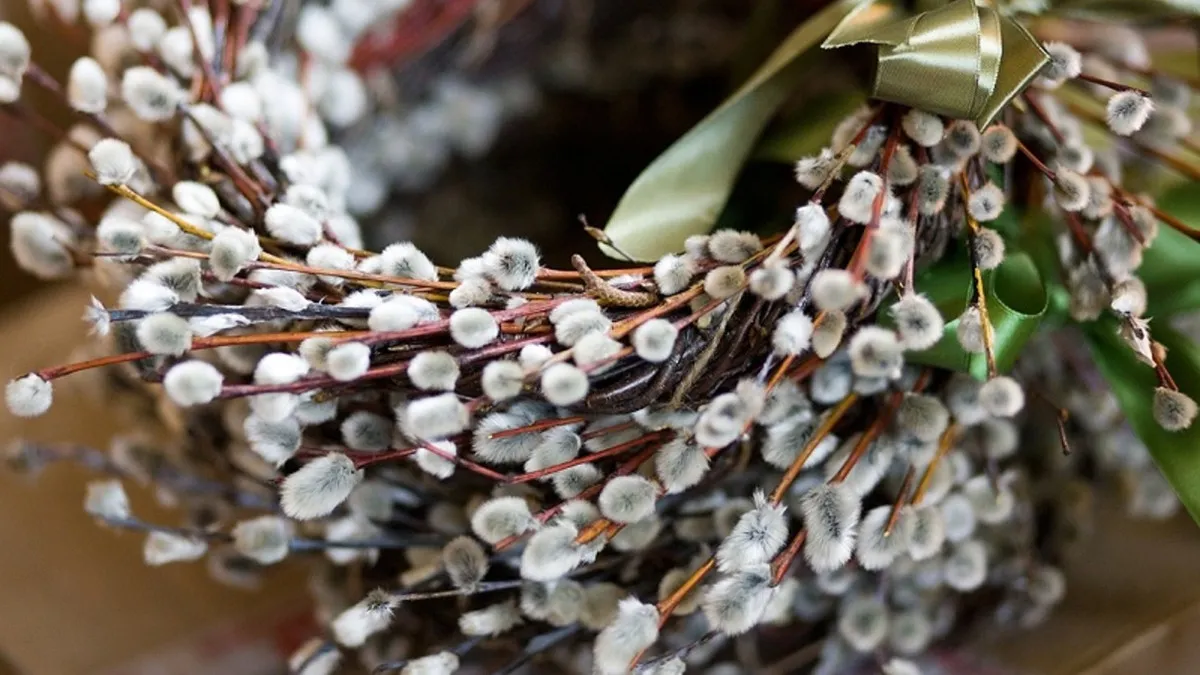 Вербна неділя / Фото з відкритих джерел