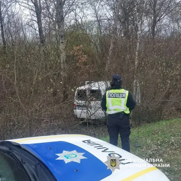 Трагедія на Коломийщині: через дику тварину водій загинув, а пасажирка потрапила до лікарні