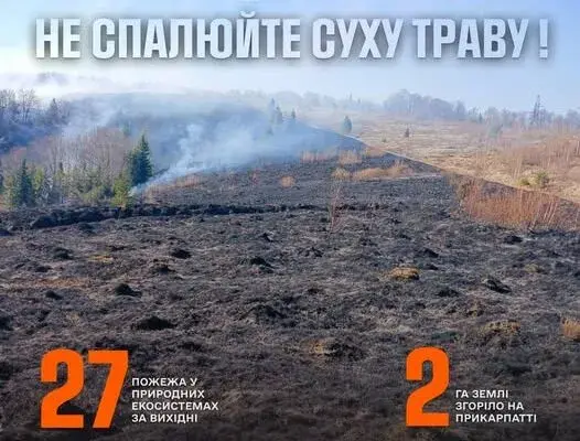 Впродовж вихідних прикарпатські вогнеборці ліквідували 27 пожеж в природних екосистемах на площі 2 га