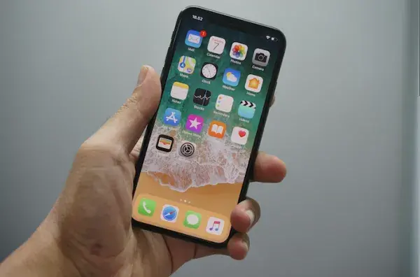 Отличие американских iPhone от остальных объяснили
0
108