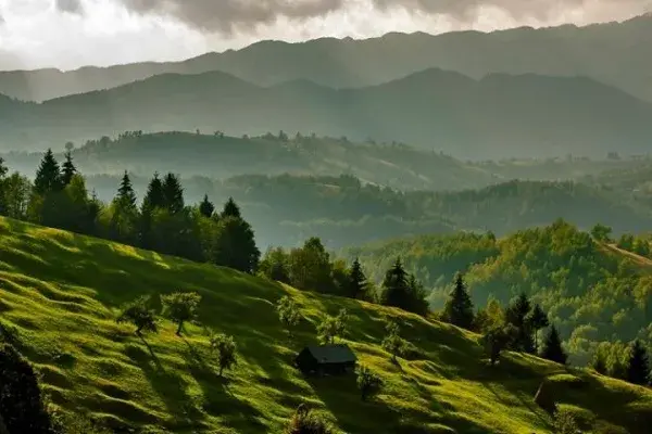 Карпатський нацпарк