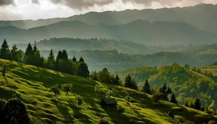 Карпатський нацпарк