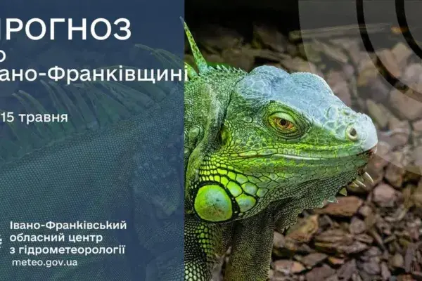 Прогноз погоди на Прикарпатті: 15 травня очікується теплий весняний день