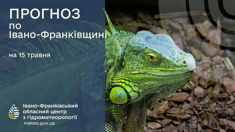 Прогноз погоди на Прикарпатті: 15 травня очікується теплий весняний день