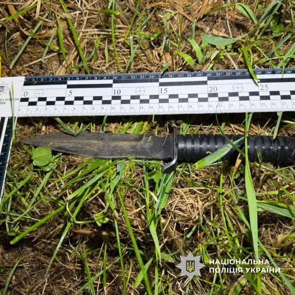 На Прикарпатті поліцейські застосували зброю під час затримання чоловіка, який погрожував медикам та кидався з ножем на правоохоронців