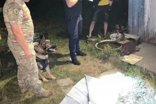Вистрілив у сина під час сварки: на Косівщині 67-річного чоловіка затримали за замах на вбивство